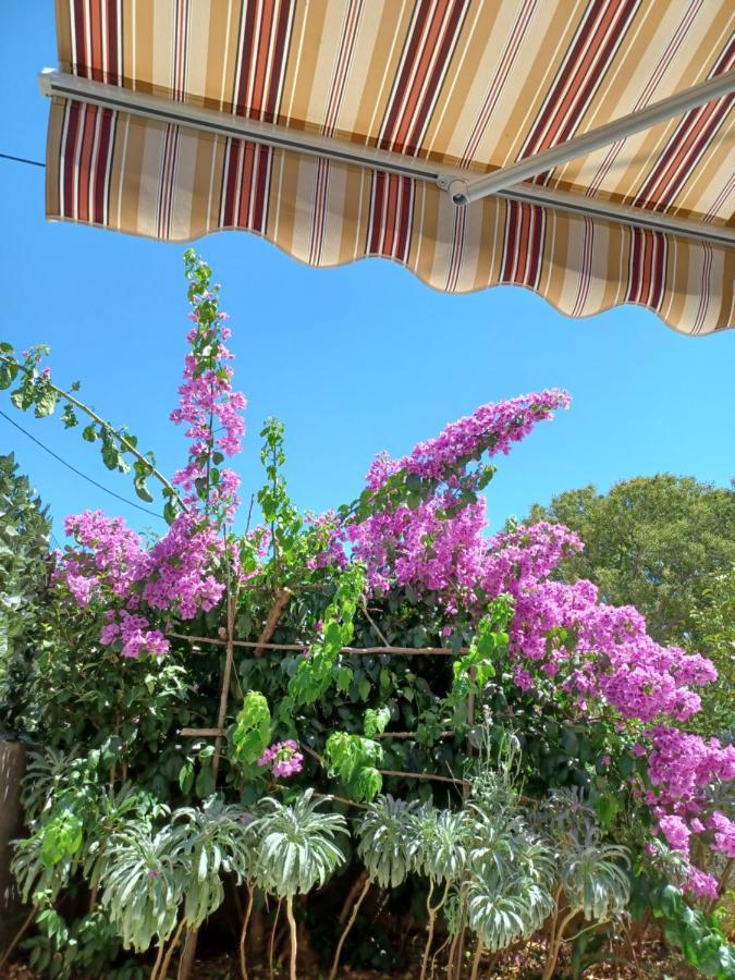 Apartman Mi Nerezine Bagian luar foto